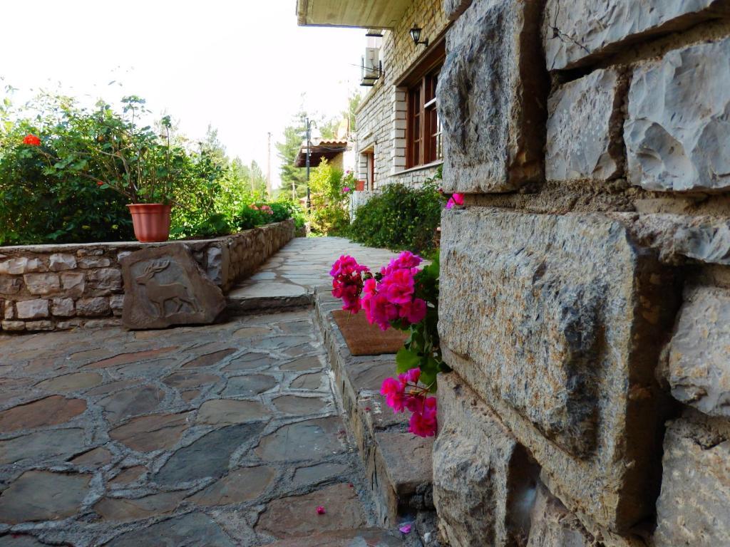 Hotel Konitsa Panorama Exterior foto